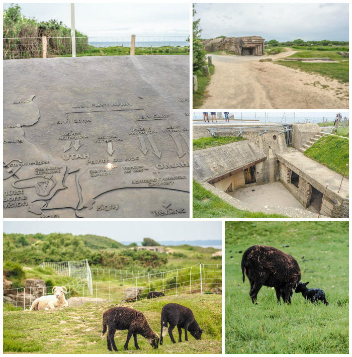 bomb craters, sheep, german battery of Pointe du Hoc | 7 of the Best D-Day Sites to Visit in Normandy If You Have Just 1 Day | Normandy, France WWII sites and World War II history | #wwii #normandy #dday #omahabeach 