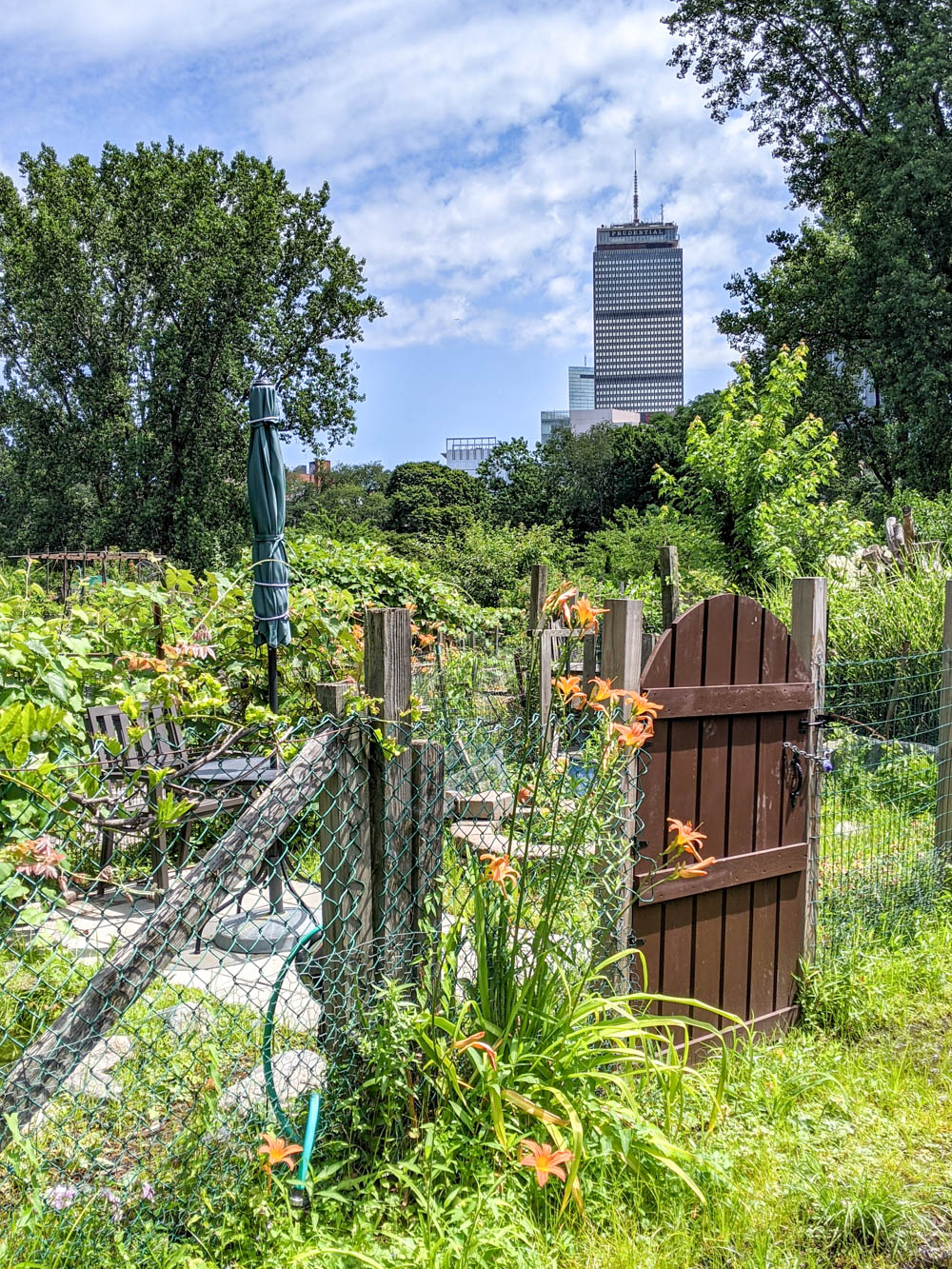 Fenway Victory Gardens in Boston, Massachusetts, one of the area's World War II-related sites