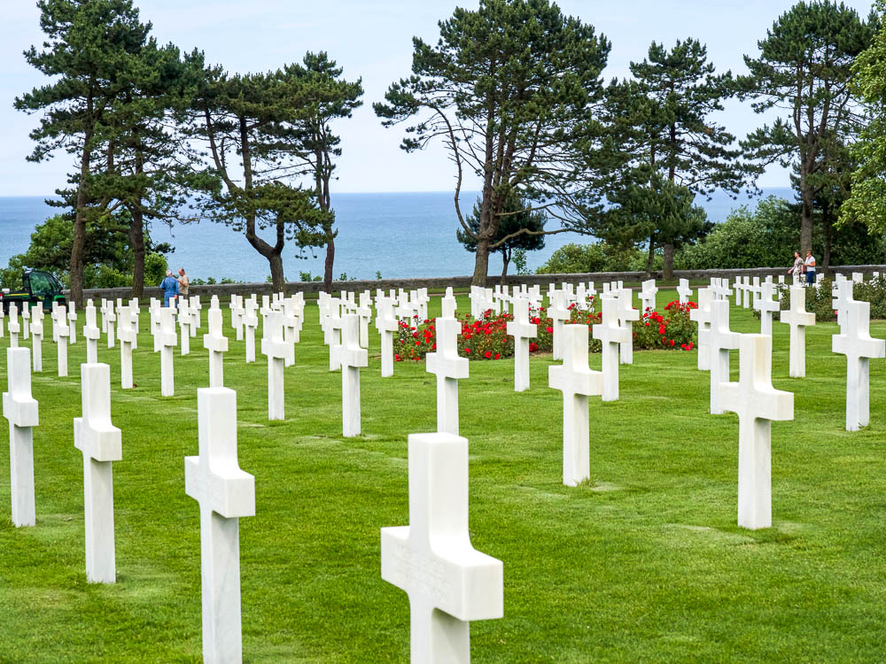 rows of white crosses on green grass