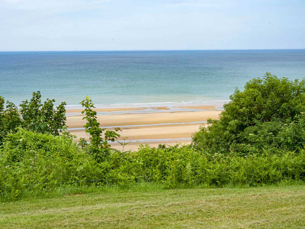 empty beach surrounded by green bushes