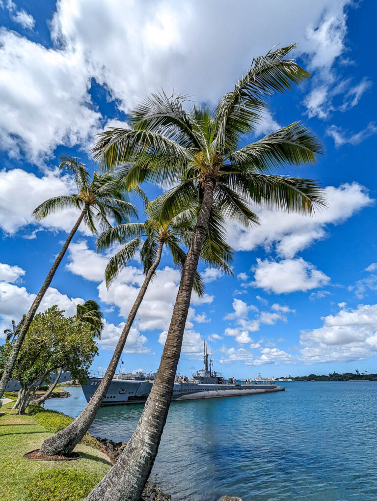 Visiting Pearl Harbor 22 Things You Need To Know Helpful Tips 6441