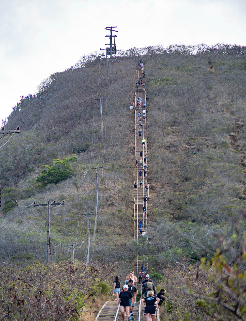 stairway going up the side of a mountain covered in hikers