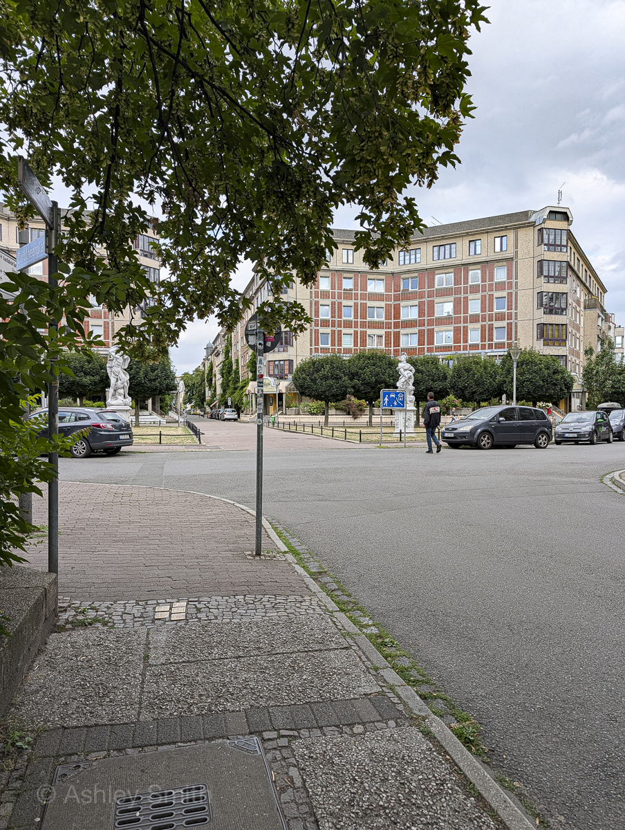 street intersection under some trees